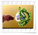 clinical trials